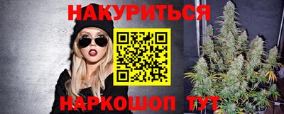 индика Краснознаменск