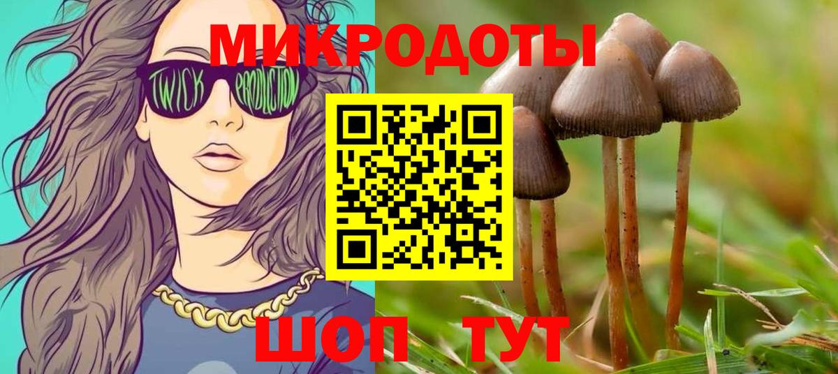 Псилоцибиновые грибы мухоморы  продажа наркотиков  Карталы  Вход с VPN 